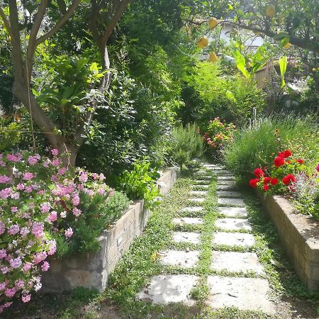 Bed and Breakfast Il Vialetto Dei Limoni Vico Equense Zewnętrze zdjęcie