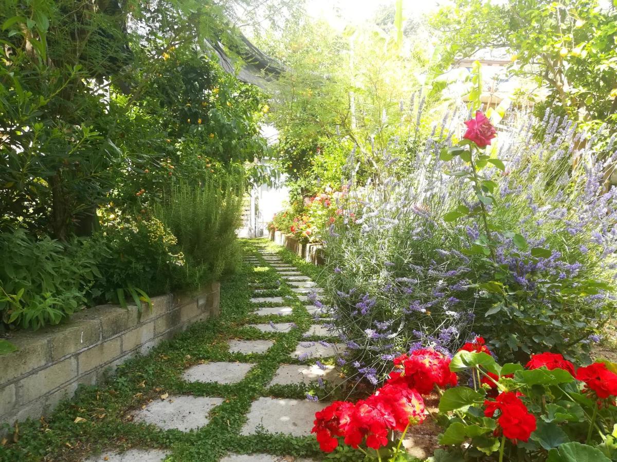 Bed and Breakfast Il Vialetto Dei Limoni Vico Equense Zewnętrze zdjęcie
