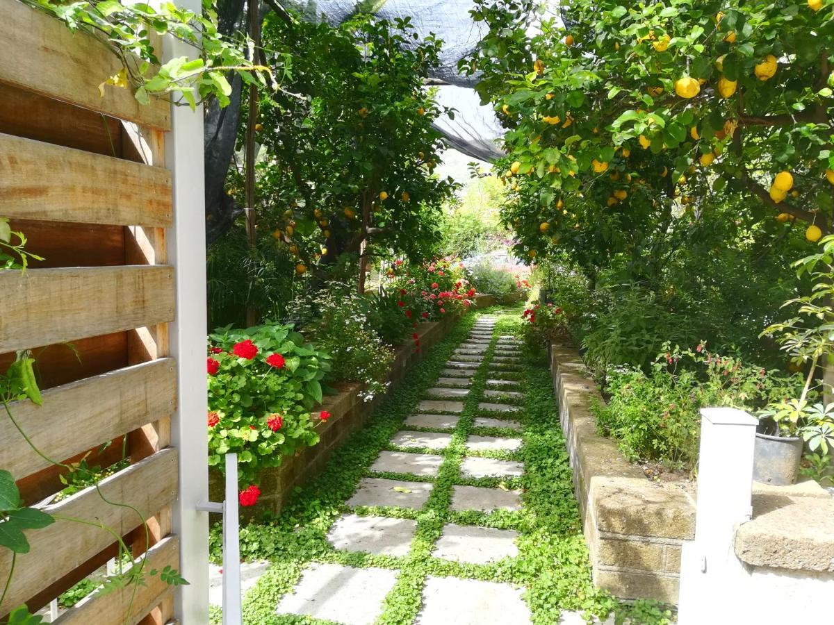 Bed and Breakfast Il Vialetto Dei Limoni Vico Equense Zewnętrze zdjęcie